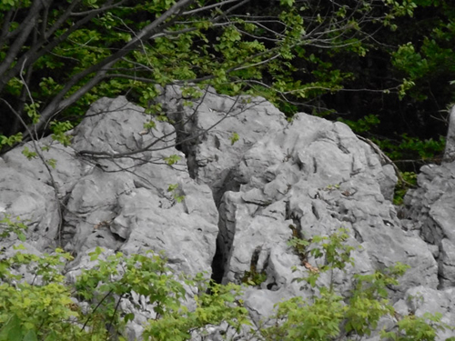 Rochers de Pot Jacquin (Isère) sans aucune traces d'érosion karstique