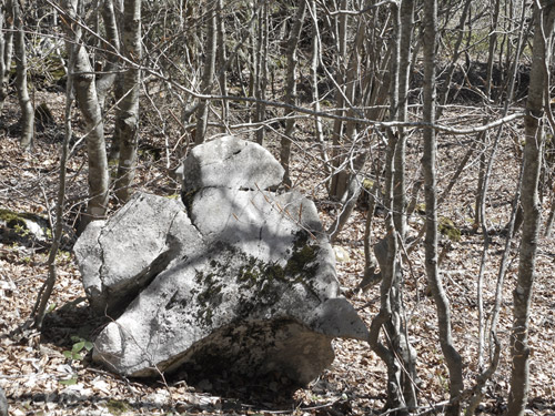 Rare rocher de Pot Jacquin avec quelques traces d'érosion karstique