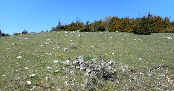 La surface de la moraine du Pas de la Rune (Vercors)