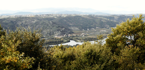 Rive droite du Rhône dans les environ de Sarras en Ardèche